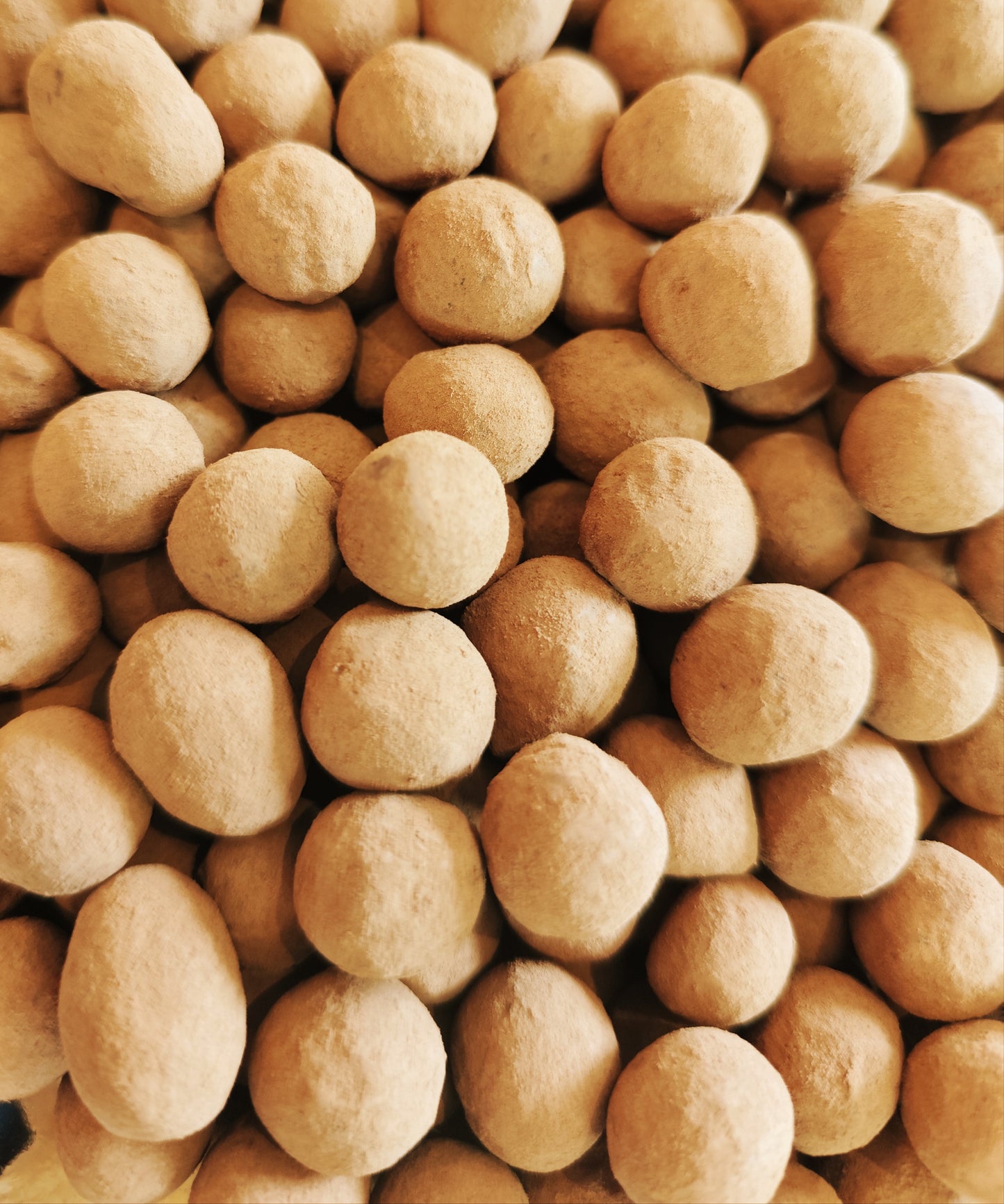 Noisettes enrobées chocolat au lait - 100g